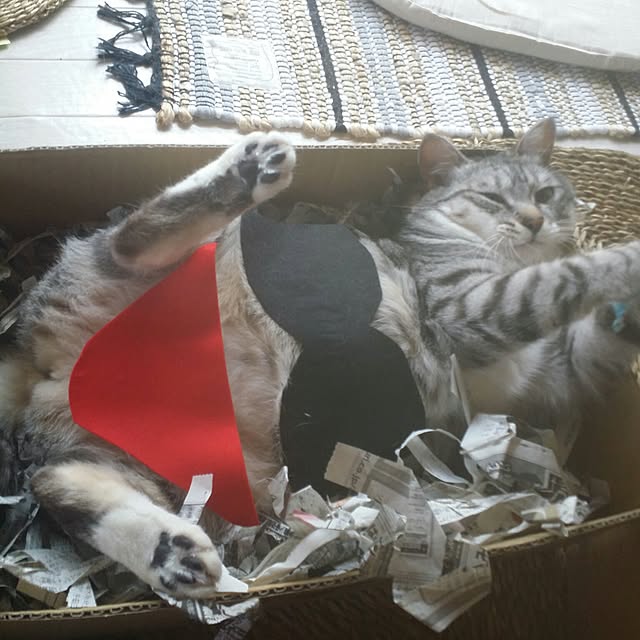 annさんの実例写真