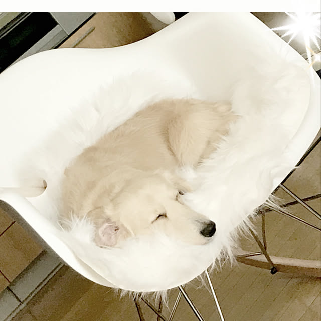 tmさんの実例写真