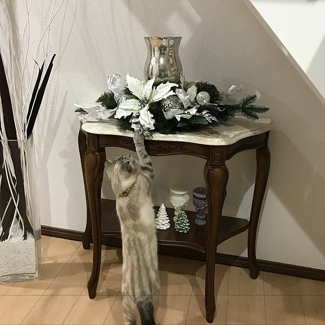 Dahliaさんの実例写真