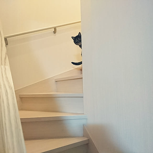 ka-koさんの実例写真