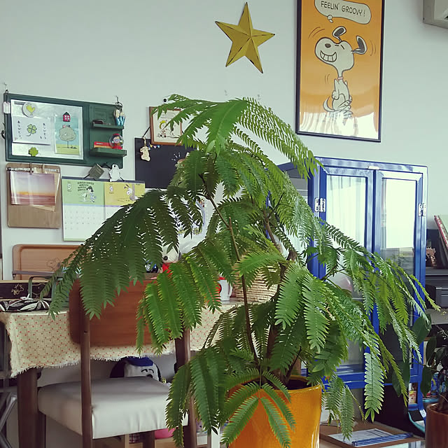 tomoさんの実例写真