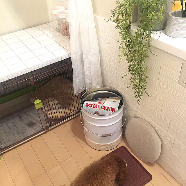 cherryさんの実例写真