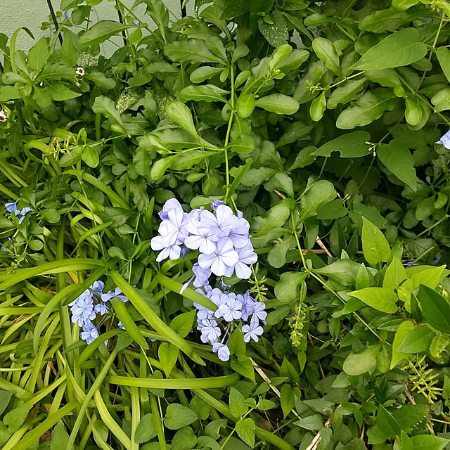Rさんの部屋