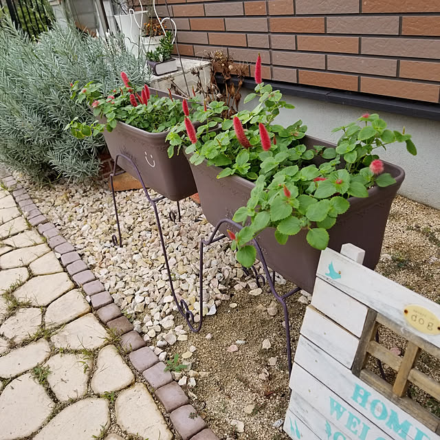 miiさんの実例写真