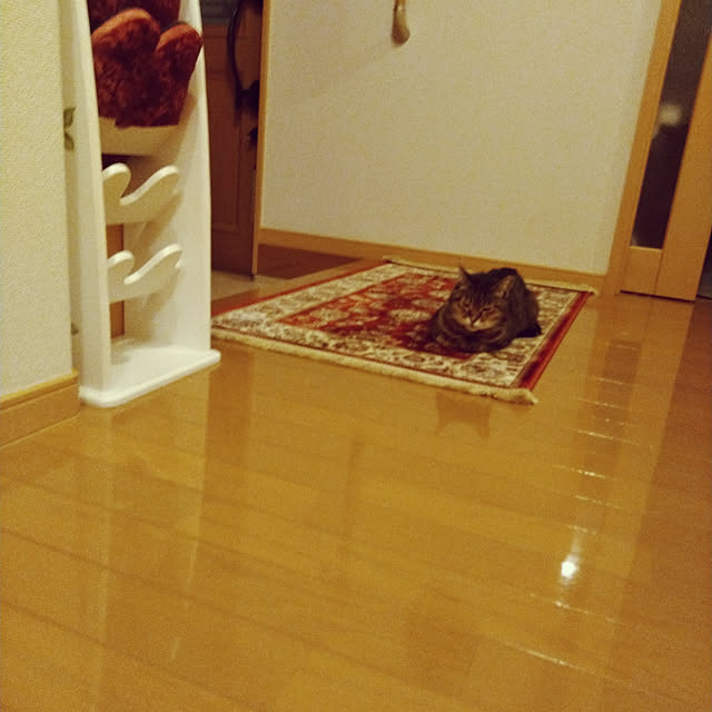 lilyさんの実例写真