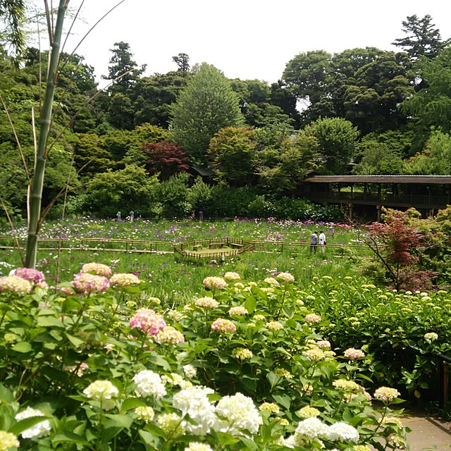 keikoさんの実例写真