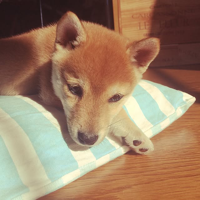 e_tさんの実例写真