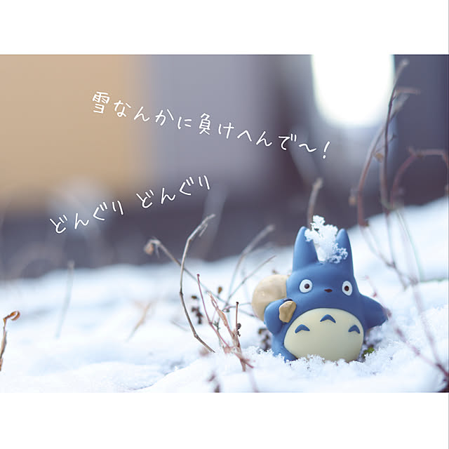maiyukapiさんの実例写真