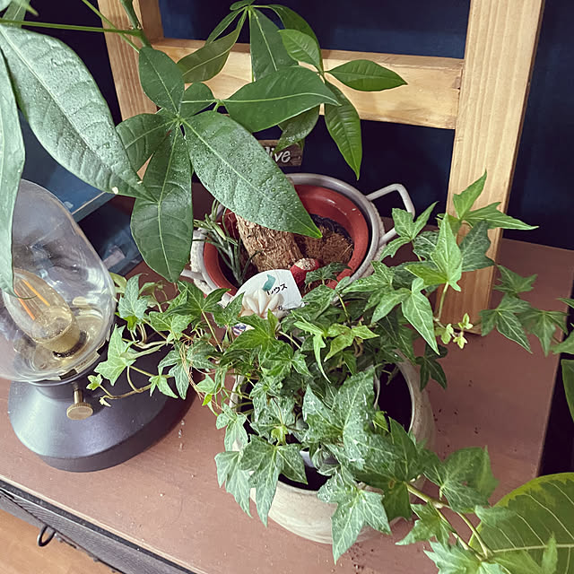 tomoさんの部屋