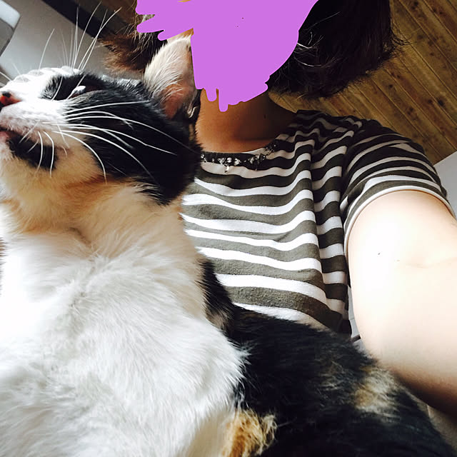 yuayajiさんの実例写真