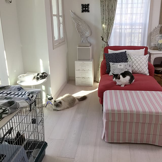 yuchiさんの実例写真
