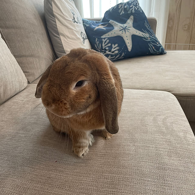haruchanさんの部屋
