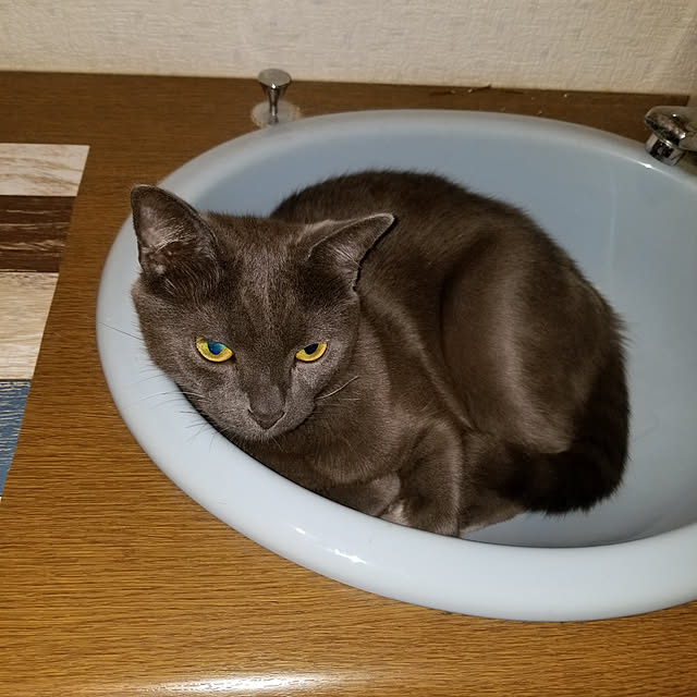 Kanonjujuさんの実例写真