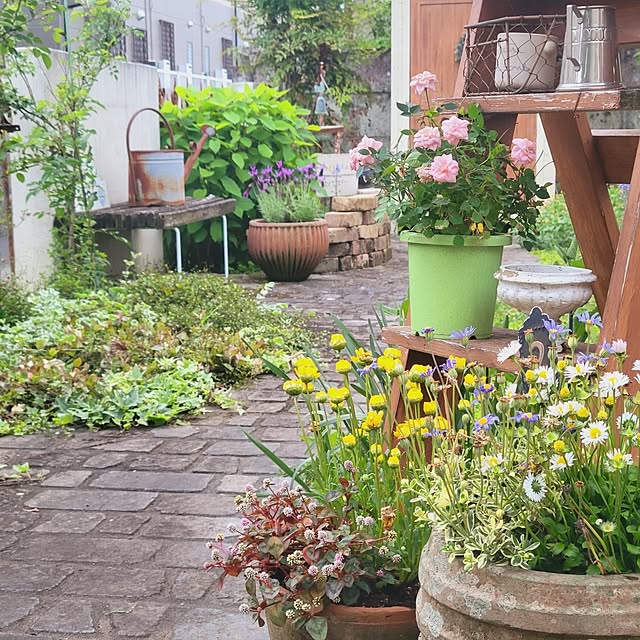 reireiさんの実例写真