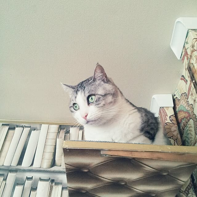 emmyyさんの実例写真