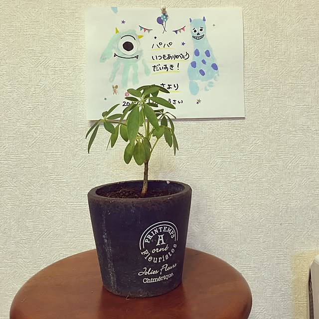 zeczecさんの実例写真
