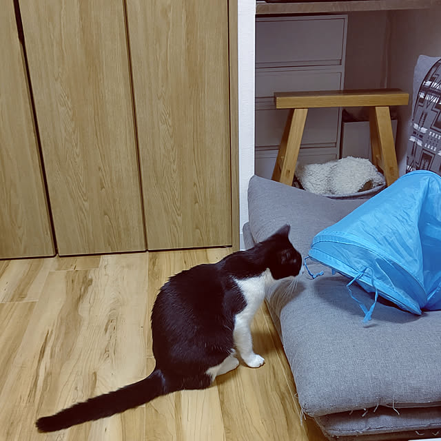 hihaさんの実例写真