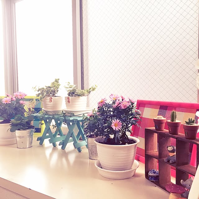minikotan331さんの実例写真