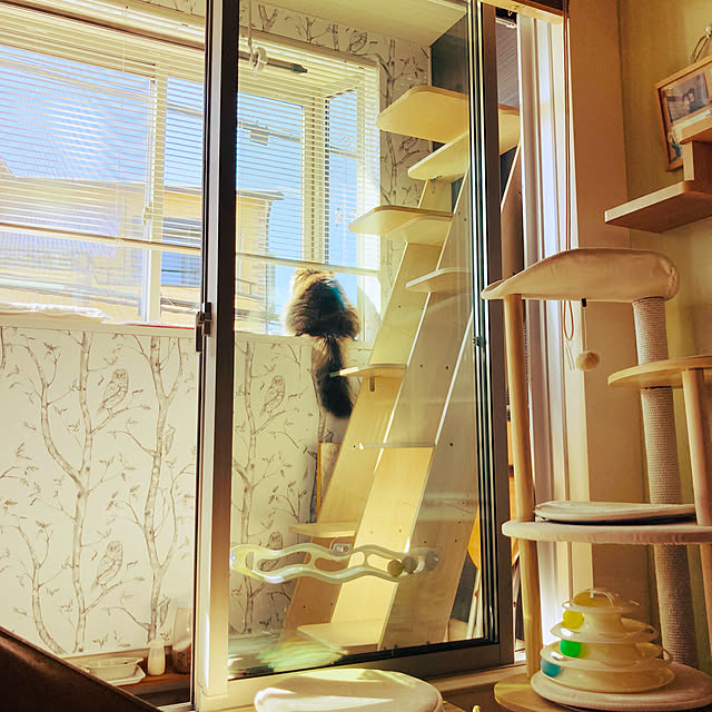 sakura_171220さんの実例写真