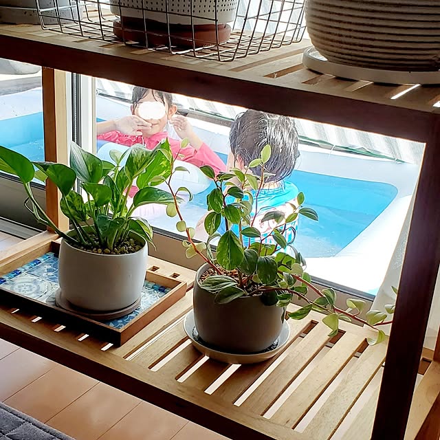 pomさんの部屋