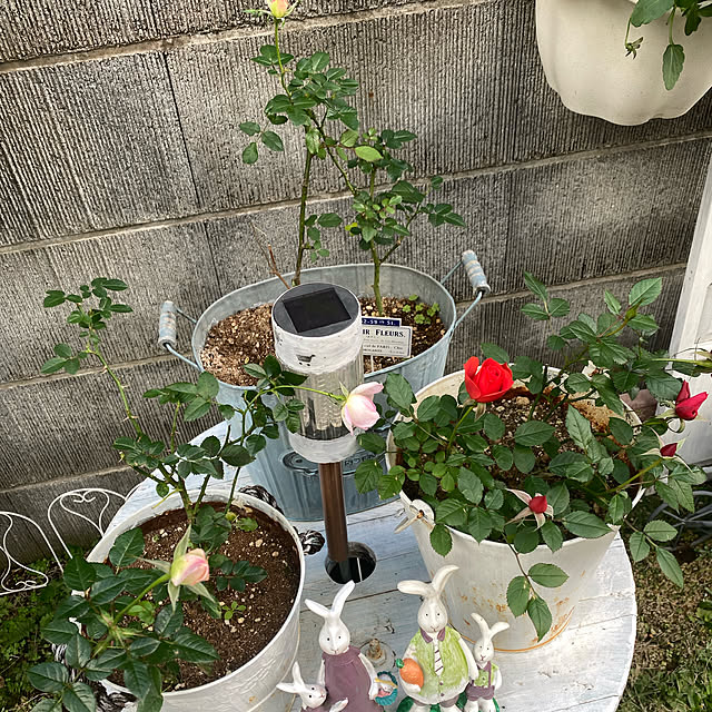 YuuKoさんの実例写真
