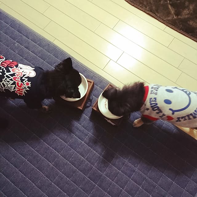 lovepeaceさんの実例写真