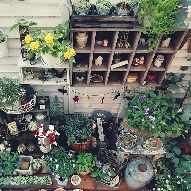 kokkomachaさんの実例写真