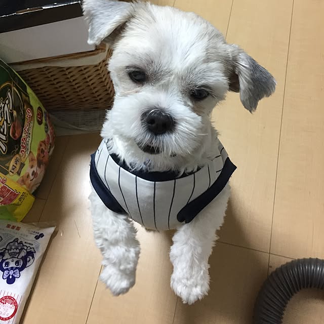 emiさんの実例写真