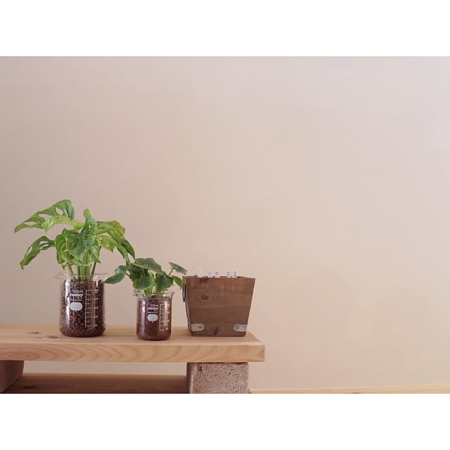agtpd8462さんの実例写真
