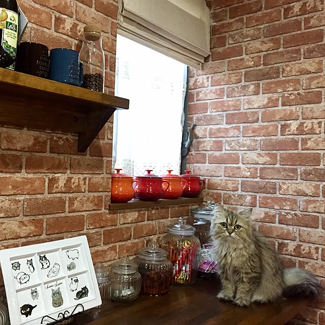 butachanさんの実例写真