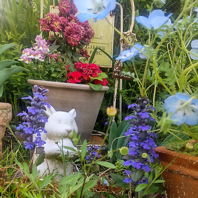 chocomintさんの実例写真