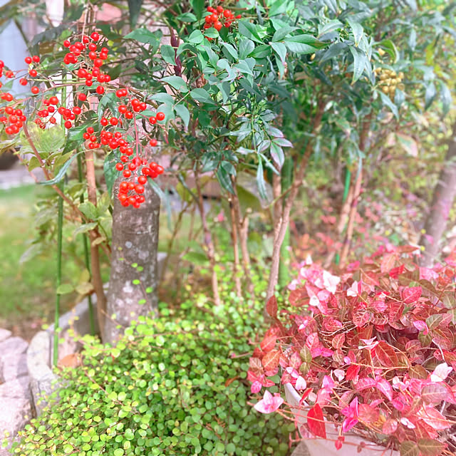 sunabaさんの部屋