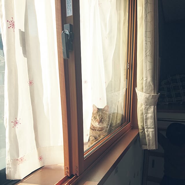 mama26さんの実例写真