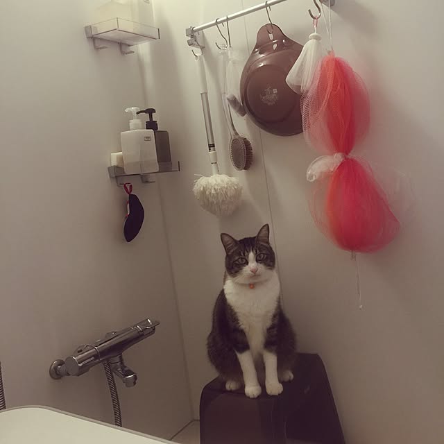 miruさんの実例写真