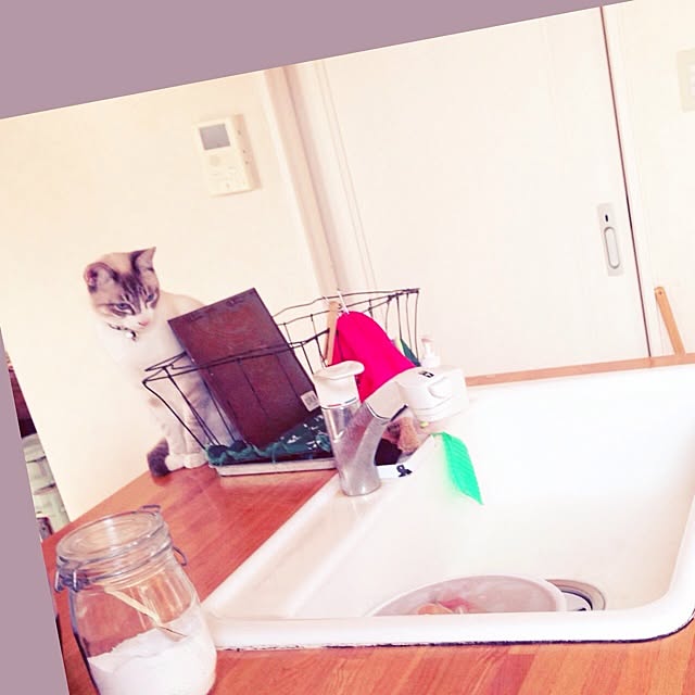 mikiさんの実例写真