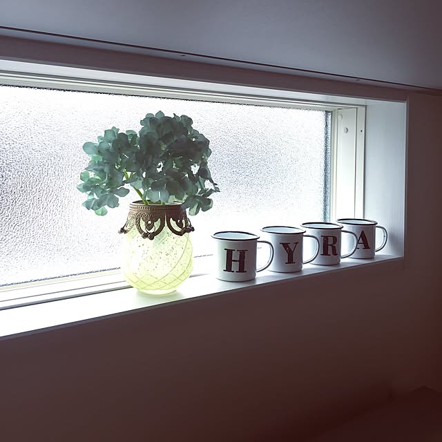 riaさんの実例写真