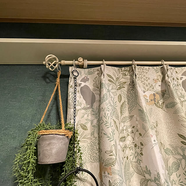 nekohagu2022さんの部屋