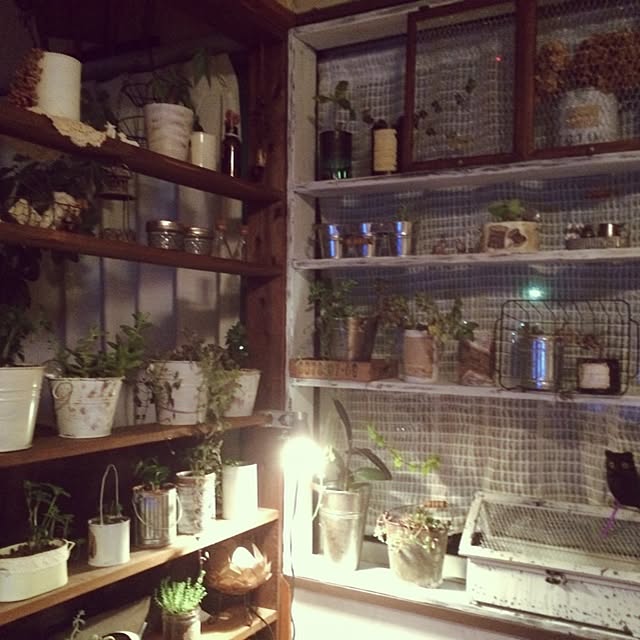 mucc08さんの実例写真