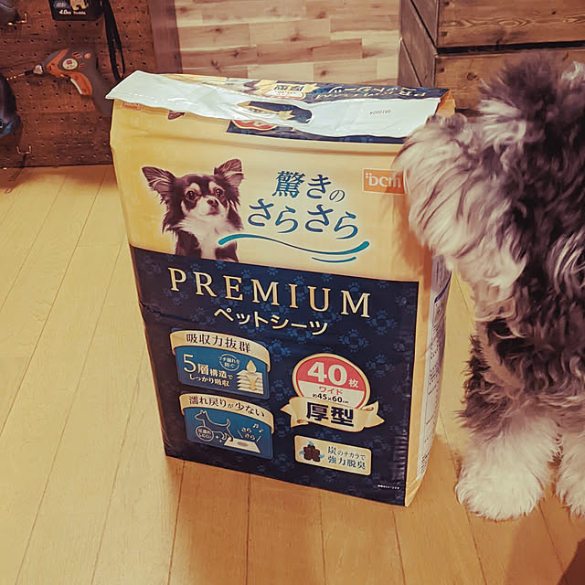 GINさんの実例写真