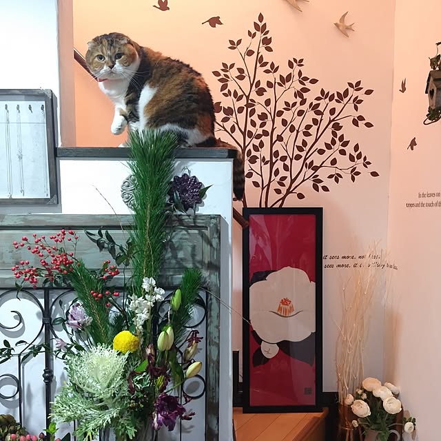hiro3さんの部屋