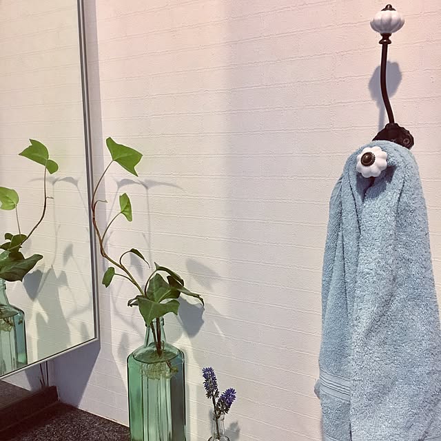 kazuさんの実例写真