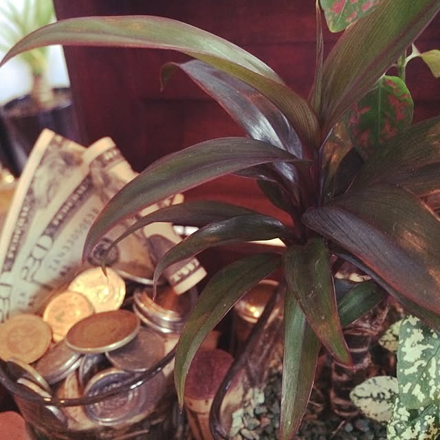 机/観葉植物/雑貨のインテリア実例 - 2015-06-21 18:30:40