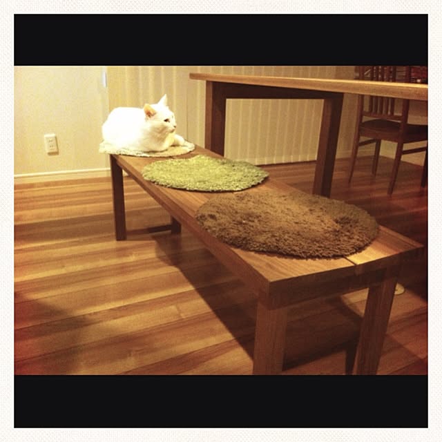 mameさんの実例写真