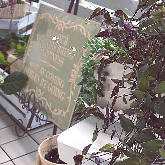 reeさんの実例写真