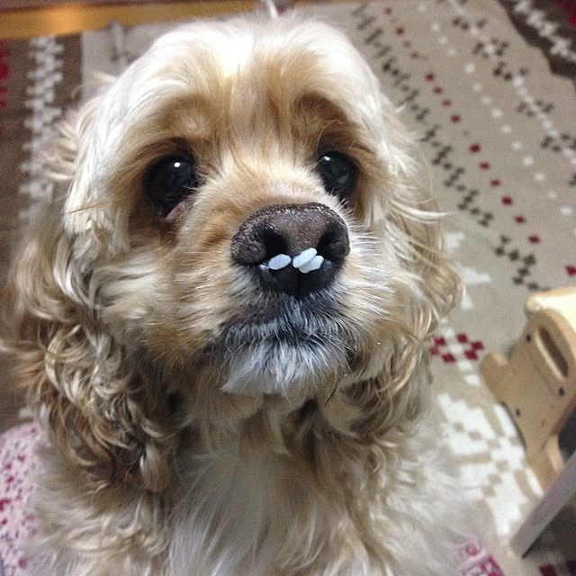 natsukiさんの実例写真