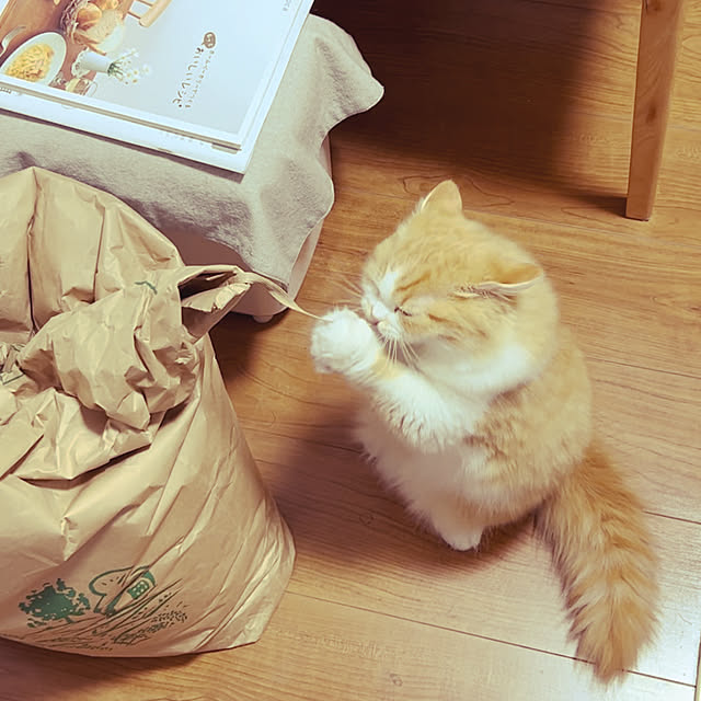 junさんの実例写真