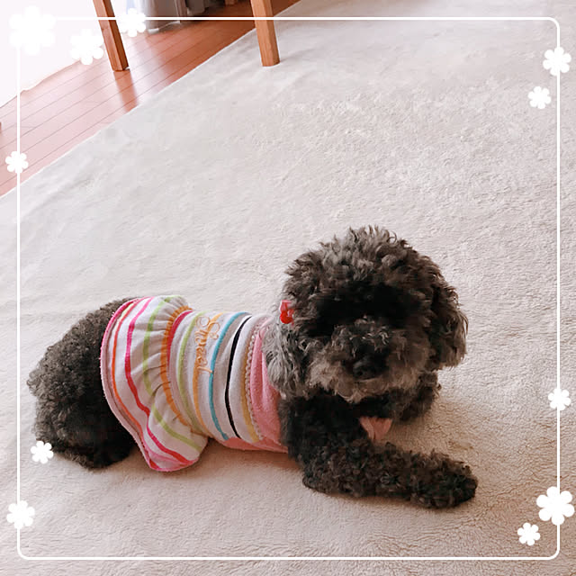 makkoさんの実例写真