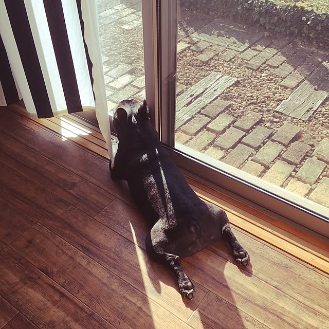 chicoさんの実例写真