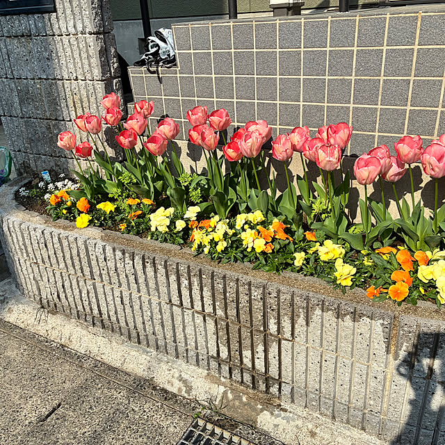 maruricoさんの部屋