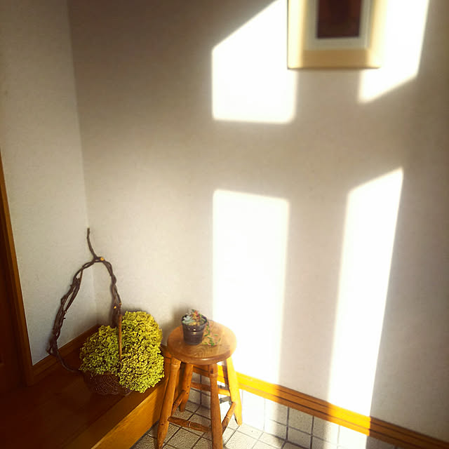 rinさんの実例写真